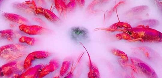 如何選擇山西高純氣體管道配管及附件材料？